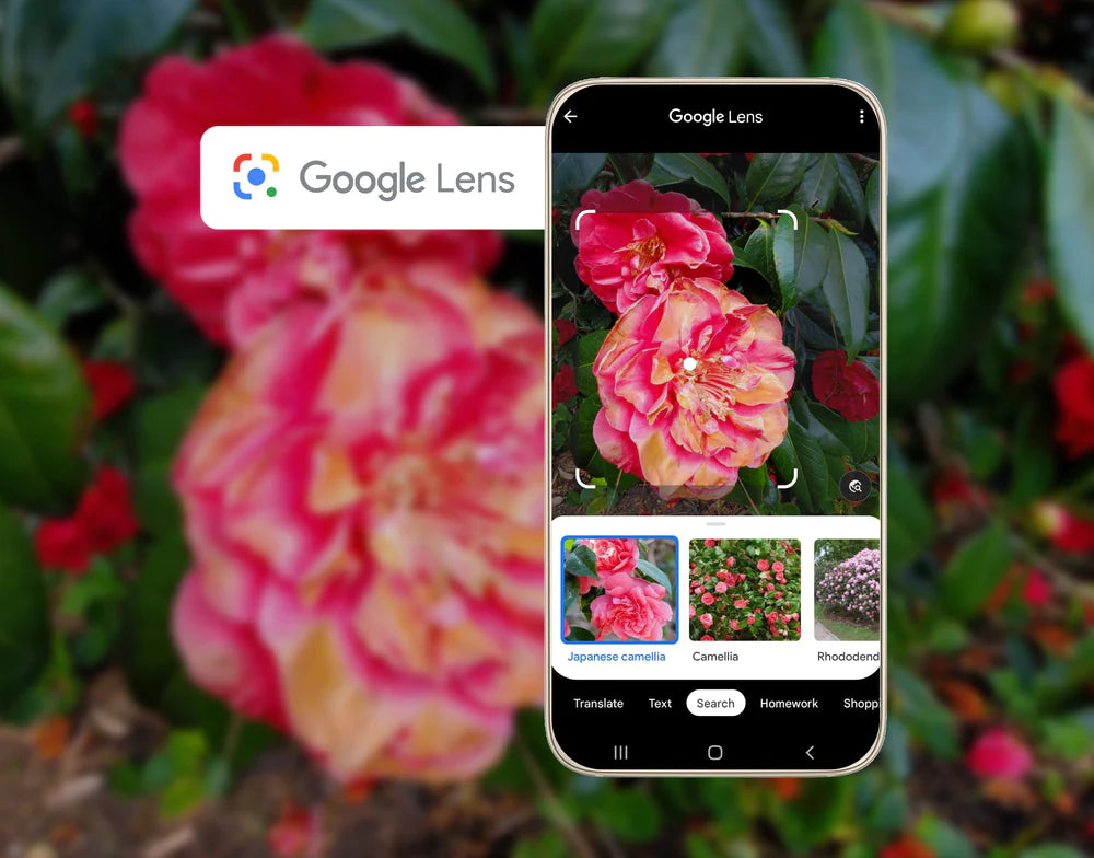 Discover Google Photos: What Can Google Lens Do for You?