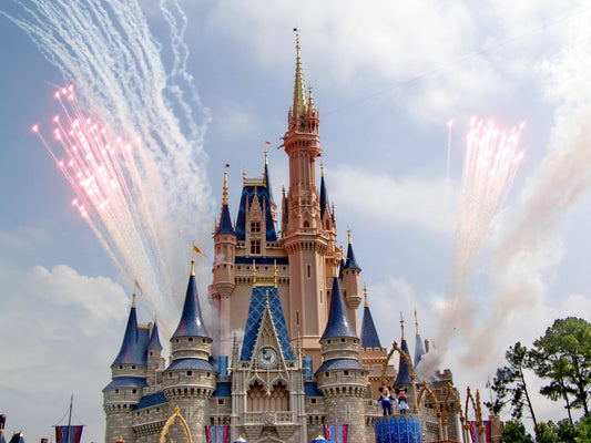 Disney Castle 