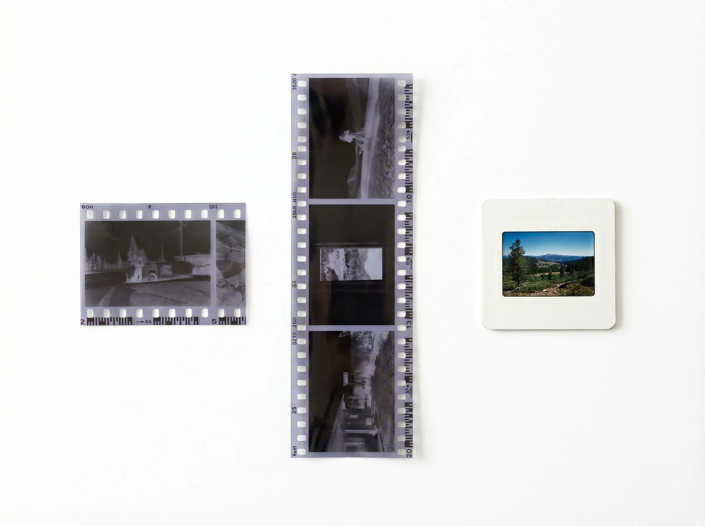 Slides & Negatives